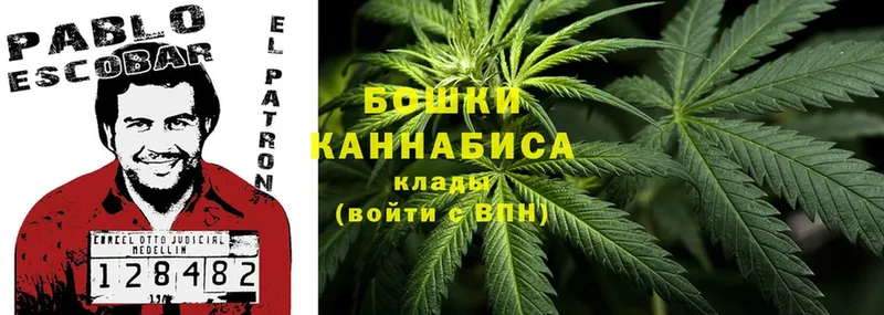 Бошки марихуана THC 21%  Карачев 